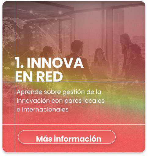 TARJETA P01 5